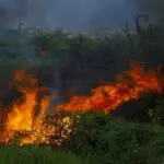 Ralph 2405 31034 fbc firebreak will feature cross play multiplayer