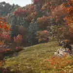 Ralph 2392 31078 ubisoft releases open source tool to help devs tailor games for colourblind players