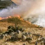 Ralph 2279 31903 control spin off fbc firebreaks latest trailer brings extradimensional furnaces and explod6802d17c4ce7b