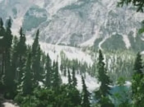 Mini Review: Lushfoil Photography Sim (PS5) 1 Mini Review: Lushfoil Photography Sim (PS5)