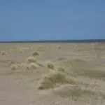 Ralph 2004 32911 dune awakening getting largest beta yet next month and itll be open to tens of thousands o680cc7583374f