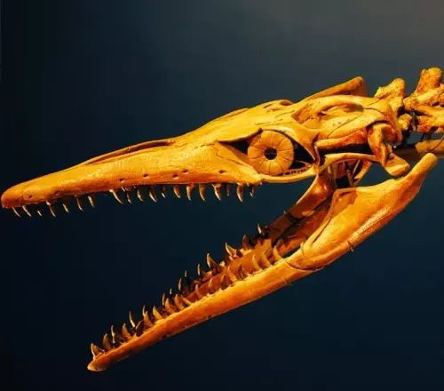 Frontier Developments removes gen AI use from Jurassic World Evolution 3 1 Frontier Developments removes gen AI use from Jurassic World Evolution 3