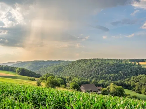 41857 preim day 2025 ray deals end soon