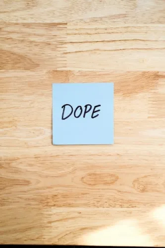 42896 soulframes incredible world is built in part from scottish slang and ancient bear mythology