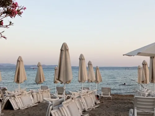 43454 silent hill 2 codev side lays off less than 10 employees