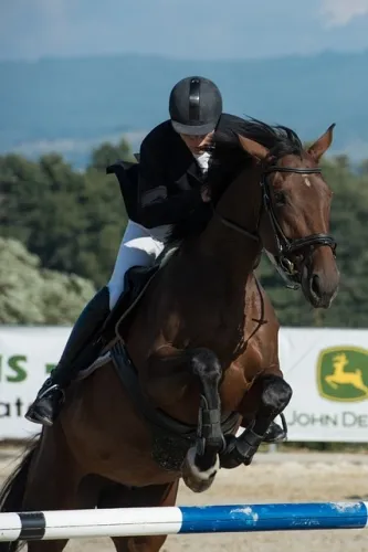 Ralph 14 43896 thinks hes playing assassins creed elden ring nightreigns absurd parkour tech sees one pla6889e9d2c0438