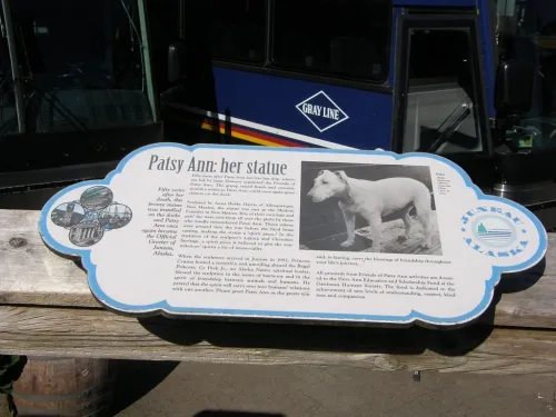 45092 digital foundry goes independent