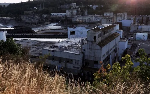 45195 eddie murphy says one of his worst rated movies on rotten tomatoes deserves less hate