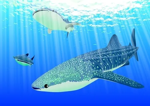 Marvel Rivals now lets you pet Jeff the Shark in an apparent attempt to make him look cute and not like the big dopey menace he'll be for the rest of his dumb life 1 Marvel Rivals now lets you pet Jeff the Shark in an apparent attempt to make him look cute and not like the big dopey menace he’ll be for the rest of his dumb life