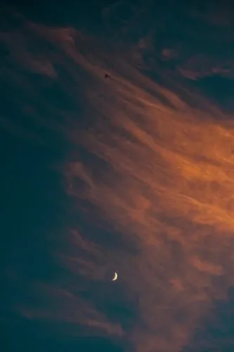 The Last of Us creator Neil Druckmann says he left season 3 of the HBO show because it didn’t  The Last of Us creator Neil Druckmann says he left season 3 of the HBO show because it didn’t “serve all” his responsibilities: “That was a good time to reassess”