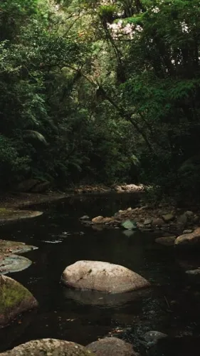 Get Popular Movies On 4K Blu-Ray For $15 Or Less At Amazon This Week