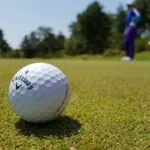 Ralph 25 51151 everybodys golf hot shots has been updated for switch here are the full patch notes
