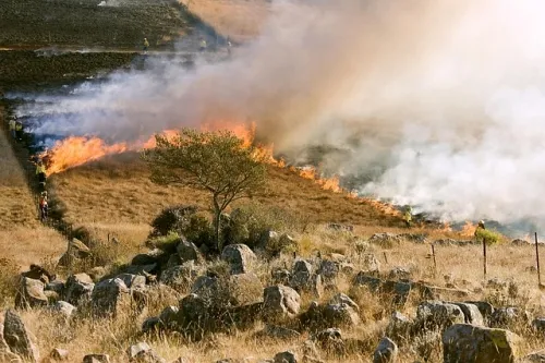 Remedy issues profit warning with FBC: Firebreak treading water 1 Remedy issues profit warning with FBC: Firebreak treading water