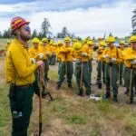 Ralph 26 52194 remedy adjusts fy25 outlook following weak sales of fbc firebreak