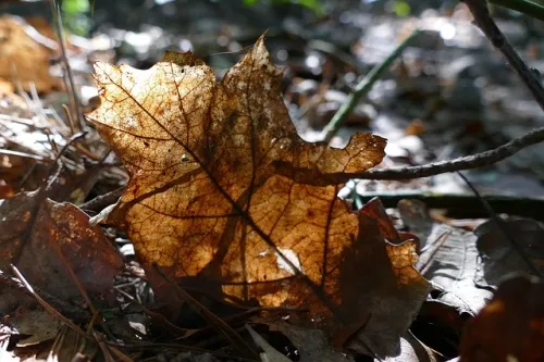 52362 battlefield 6 players are using ladders to fly around maps in defiance of movement nerfs a68efb38a3ed50