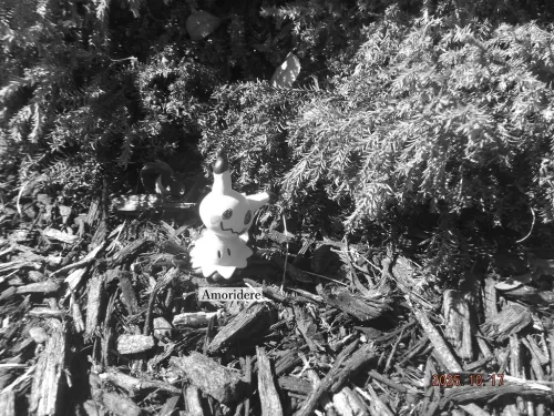 53256 pokemon legends z a has an on screen day night cycle timer and people are beating the game68f9a513ca118