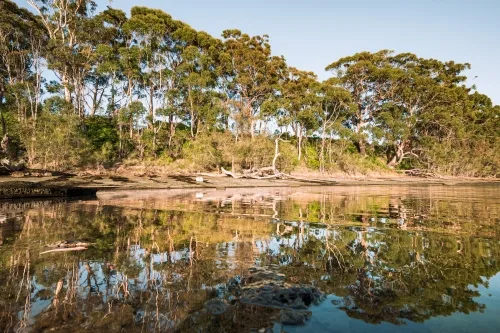 South Australian game devs can apply to new grants of up to 100,000 AUD 1 South Australian game devs can apply to new grants of up to 100,000 AUD