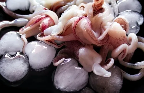 Netflix shutters Squid Game: Unleashed developer Boss Fight Entertainment 1 Netflix shutters Squid Game: Unleashed developer Boss Fight Entertainment