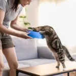 54049 please tell me im not the only person who plays horror games on mute