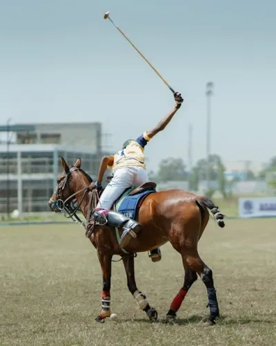 Former MultiVersus devs  Former MultiVersus devs “try something different” with indie studio, Airlock Games, moving away from “horrific” AAA space