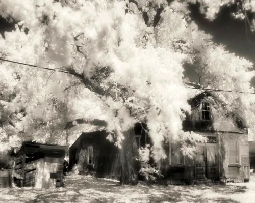 Ralph 4 54323 fall guys veterans establish new studio panic stations