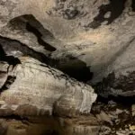 Ralph 26 54569 another tech giants gaming ambitions bite the dust opinion