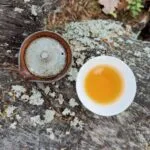 54572 supercell calls time on squad busters less than 18 months after launch