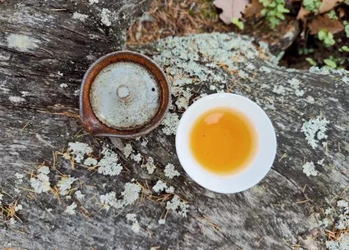 Supercell calls time on Squad Busters less than 18 months after launch 1 Supercell calls time on Squad Busters less than 18 months after launch