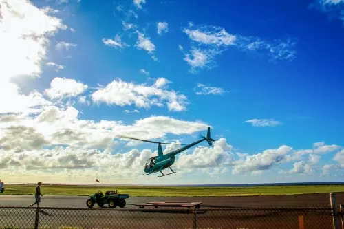 Net bookings down as EA suspends earnings calls and guidance