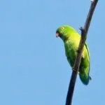 54655 heres the pitch that landed truckful dev mythicowl a publishing deal