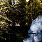 54788 from murder to whale meat rejected mlb slugfest voice lines are unhinged