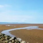 54885 kirby 64 and kirbys dream land 3 switch online icons now available