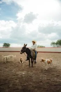 54891 mario kart world and donkey kong bananza shortlisted for console game of the year