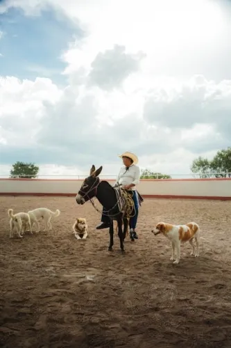 Mario Kart World And Donkey Kong Bananza Shortlisted For ‘Console Game Of The Year’