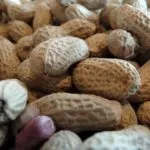 54902 rockstar accused of firing over 30 union members in calculated attack on workers