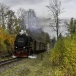 54937 72 of devs believe steam has a monopoly on pc games according to study