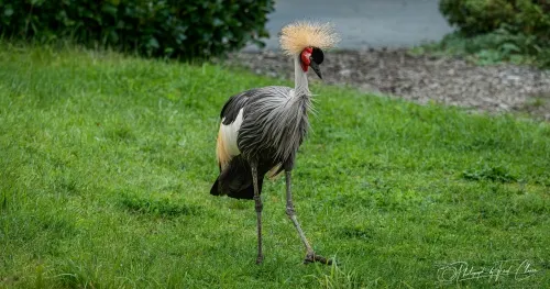 Call Of Duty Black Ops 7 PC System Requirements: Here’s What You’ll Need For November 14