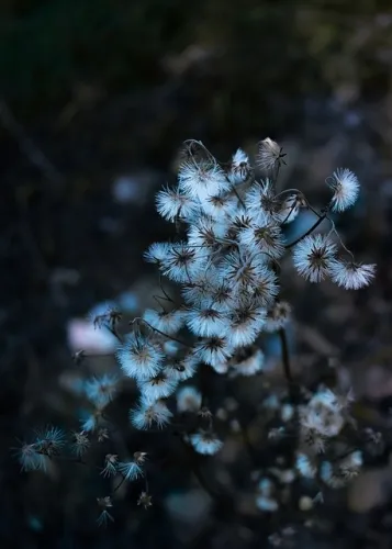 Don’t expect Switch 2 emulation to hit as fast as it did for Switch 1, as fan devs are already warning “THIS PROJECT WILL NOT BE READY FOR A DECADE MINIMUM”