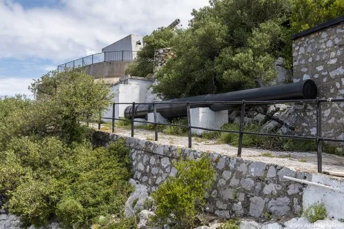 Call of Duty: Black Ops 7 review