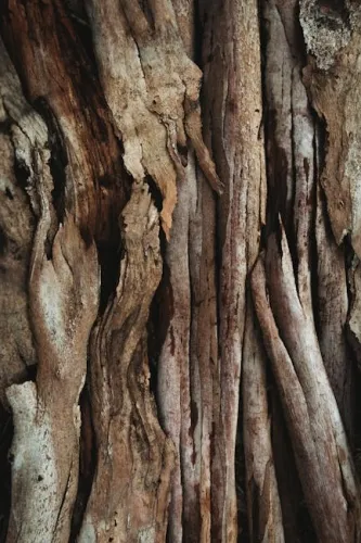 TMNT: Splintered Fate Collector’s Edition Preorder Gets Early Black Friday Discount