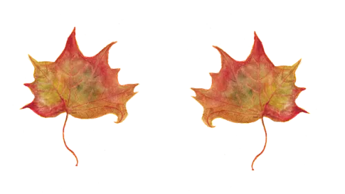 Red Dead Redemption Switch Physical Edition Discounted Ahead Of Free Switch 2 Update