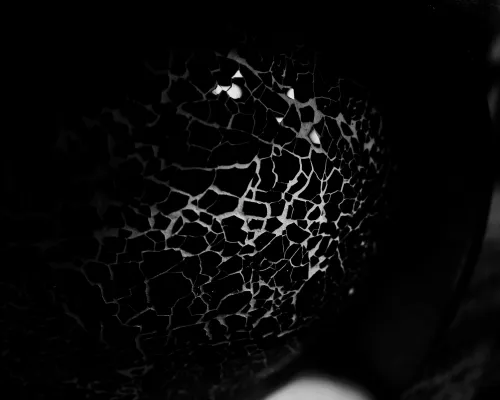 Timothée Chalamet just completed filming on Denis Villeneuve’s Dune 3: “It’s moving to me that something as out there as Dune has taken this personal resonance”