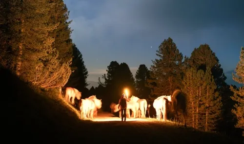 Guide: Best Zelda Games Of All Time