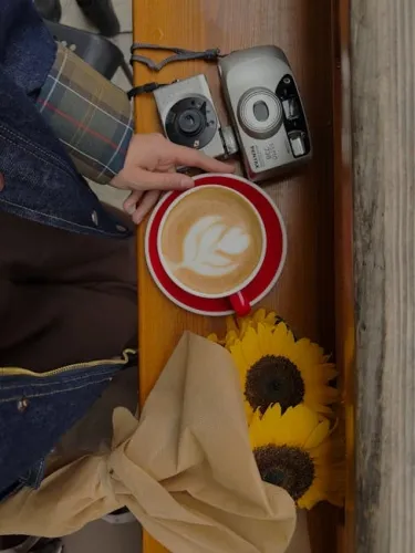 After Lilo and Stitch made $1 billion, Disney is back with a new live-action remake of Moana that looks and feels exactly like the animated movie