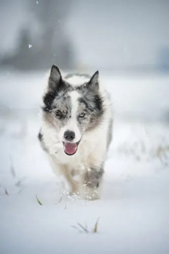 What we’ve been playing