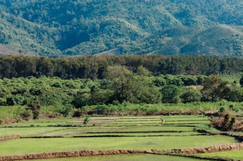 Farming Simulator 25 surpasses four million copies sold | News-in-brief