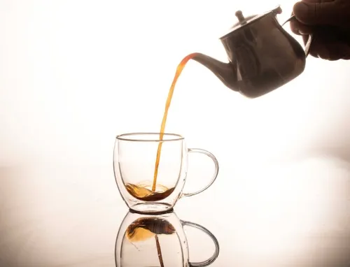 Santa Ragione co-founder Pietro Righi Riva on Horses, Steam, and possible closure of the studio