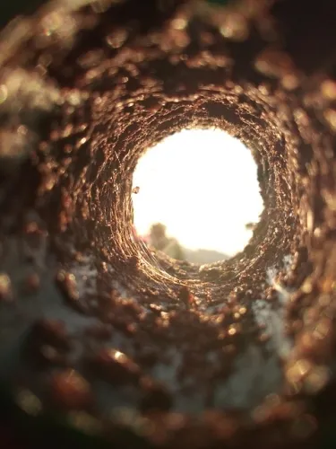 Beyond Good & Evil 2 Job Listing Shows There’s Signs Of Life In The Old Hog Yet