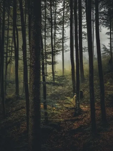 Embracer divests Arc Games and Cryptic Studios