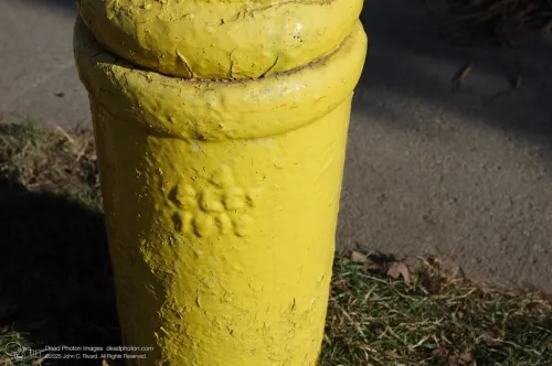 Valve accused of pulling LGBTQ+ game from Steam at request of Russian government